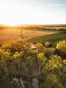 an aerial view of a field with trees and a pond at Moodemere Lake House in Rutherglen