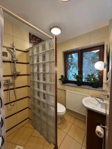 a bathroom with a shower and a toilet and a sink at Pokój Przy Kominku in Białla +37 photos