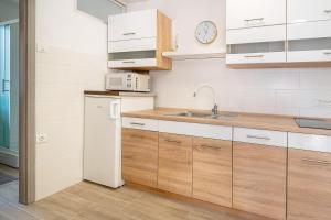 Kuchyň nebo kuchyňský kout v ubytování Apartments Magla with Terrace