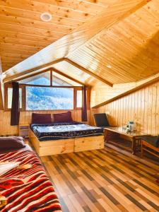 Llit o llits en una habitació de Timberwolves