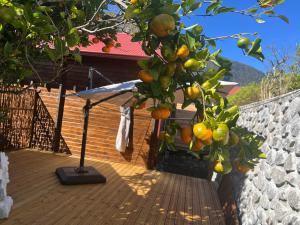 Zahrada ubytování Les 3 Chalets de Cilaos