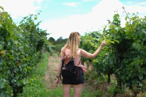 入住Wine Escapes Langenlois #BRAND NEW#的客人