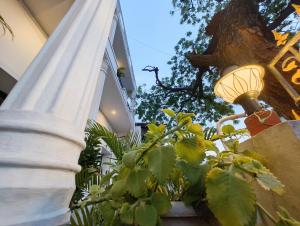 Zahrada ubytování Hare Rama Hare Krishna - EESHA Hotel