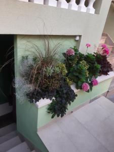 Zahrada ubytování Apartman Barbir