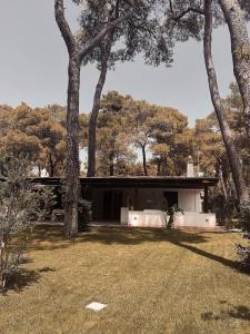 Imagen de la galería de Villa Kalimera, en Marina di Ginosa