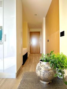 Fotografie z fotogalerie ubytování Penthouse on the beach v destinaci Empuriabrava + 5 fotografií