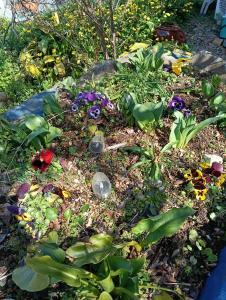 Zahrada ubytování BAz11