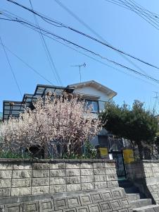 Budova, kde se prázdninový dům nachází