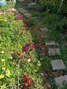 Zahrada ubytování BAz11