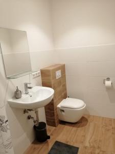 a bathroom with a toilet and a sink and a mirror at Studio mit 1 Schlafzimmer in Oyten +6 photos