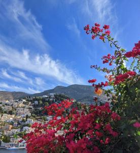 Fotografie z fotogalerie ubytování Little Symi House v destinaci Symi