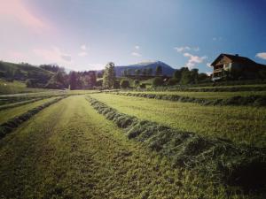 Fotografia z galérie ubytovania Holmbauer Ferienwohnung Panoramablick v destinácii Ober-Etrach