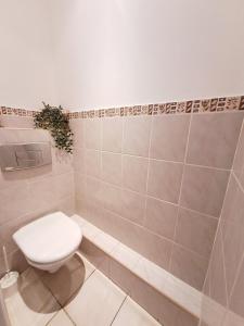 a bathroom with a toilet and a tiled wall at Charmant appartement cosy plage, gare, centre-ville in Cagnes-sur-Mer +2 photos