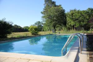 a swimming pool with a metal hand rail in a yard at Maison de vacances en pleine nature avec piscine in Balizac +24 photos