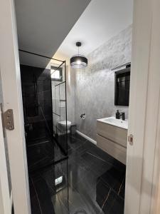 a bathroom with a shower and a sink and a toilet at Studio Magheru Residence in Craiova