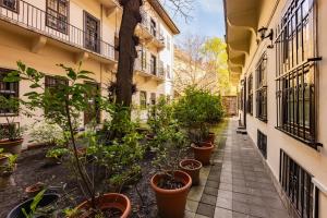 a courtyard with potted plants on the side of a building at Amber Gardenview Studios Downtown in Budapest