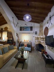 洛弗Lofitiko的带沙发和壁炉的客厅