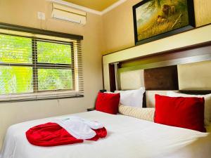 Φωτογραφία από το άλμπουμ του Vhafamadi Bed And Breakfast σε Sibasa