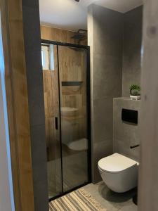a bathroom with a toilet and a glass shower at Dom pod orzechem in Spytkowice +13 photos