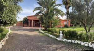 una casa con una palmera y un camino de entrada en Villa HIGH ATLAS, en Tamerhlecht