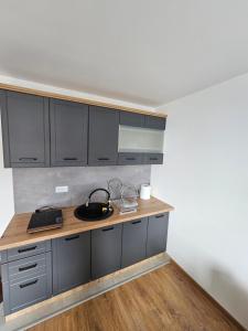 Η κουζίνα ή μικρή κουζίνα στο Kopaonik Alibi IRIS10 +5 φωτογραφίες