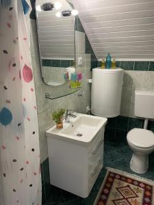 a bathroom with a sink and a toilet and a mirror at Villa Ruscello in Grabovac +32 photos