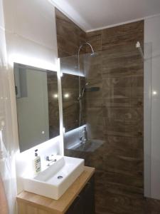 a bathroom with a sink and a mirror and a shower at Forest Apartman in Nyíregyháza +23 photos