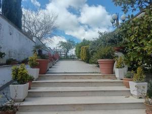 Zahrada ubytování Hotel Sirios