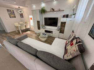 TV a/nebo společenská místnost v ubytování Apartment Goran