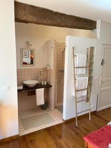 een badkamer met een wastafel en een douche bij Sweet Home Cornelia in Bruniquel