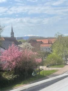 Blick auf eine Stadt mit Kirche und Blumen in der Unterkunft Bei Chogman in Gronau