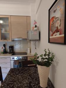 Kuchyň nebo kuchyňský kout v ubytování Jordan Downtown Apartment & parking