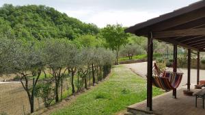 A garden outside Agriturismo Pascucci