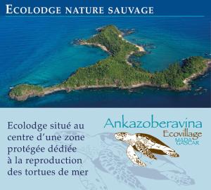 a turtle on an island in the water at Ankazoberavina in Ankazoberavina