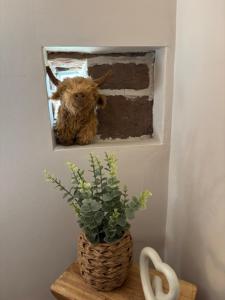 a dog in a mirror next to a plant at The Shippon Barn - A delightful haven for families in Wirral