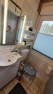 a bathroom with a sink and a toilet and a window at Ferienhaus 265 am Zeulenrodaer Meer in Zadelsdorf