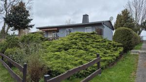 a house with a large bush in front of it at Ferienhaus 265 am Zeulenrodaer Meer in Zadelsdorf