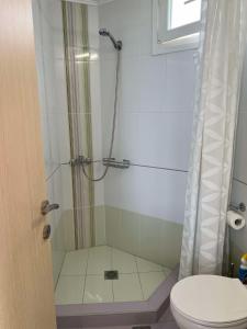 a bathroom with a shower and a toilet at Beachfront Bliss Polychrono in Polychrono