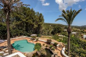 eine Draufsicht auf einen Swimmingpool mit Palmen in der Unterkunft Can Blay in Santa Eulària des Riu