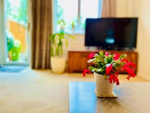 TV a/nebo společenská místnost v ubytování Cosy Quiet Double Room