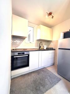Kuchyň nebo kuchyňský kout v ubytování Apartman Fani