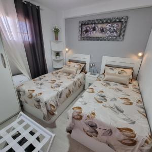 a bedroom with two beds and a picture on the wall at Cabo Cervera primera linea apartamento de lujo in Torrevieja +73 photos