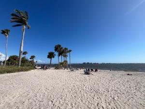 a group of people sitting on a beach with a palm tree at Marazul in Cape Coral