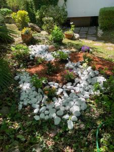 a garden with rocks and flowers in a yard at Hotel Le Palme " Adults only " in Grado