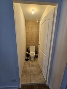 a bathroom with a white toilet in a hallway at L'Authentique - Appartement 6 in Loudéac +8 photos