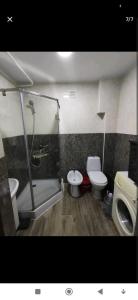 a bathroom with a shower and a toilet and a sink at Central Park Rose Valley Rooms Комнаты у Парка Долина Роз in Chişinău