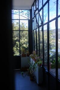 A garden outside Veranda lake view