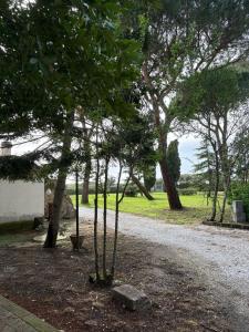 Zahrada ubytování Rustico Sant'Emilio