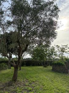 Zahrada ubytování Rustico Sant'Emilio