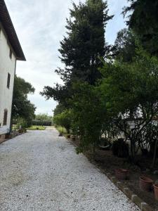Zahrada ubytování Rustico Sant'Emilio